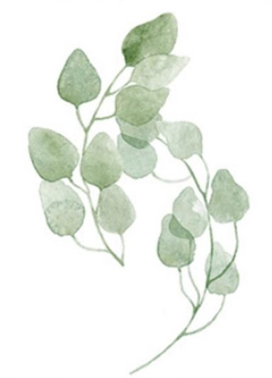 La Plante
